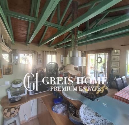 Ellomenos – Villa 230 sq.m.
