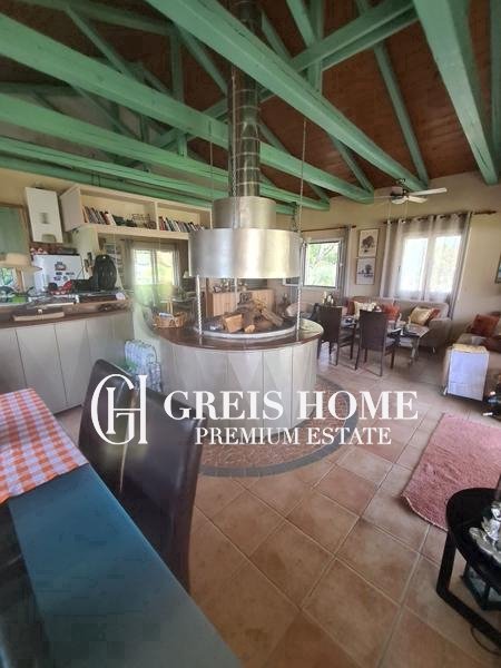 Ellomenos – Villa 230 sq.m.