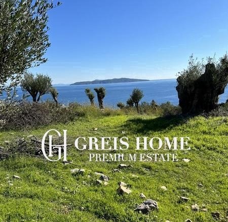 Agios Nikitas – Parcel 20000 sq.m.
