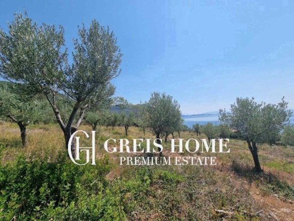 Agios Nikitas – Parcel 20000 sq.m.