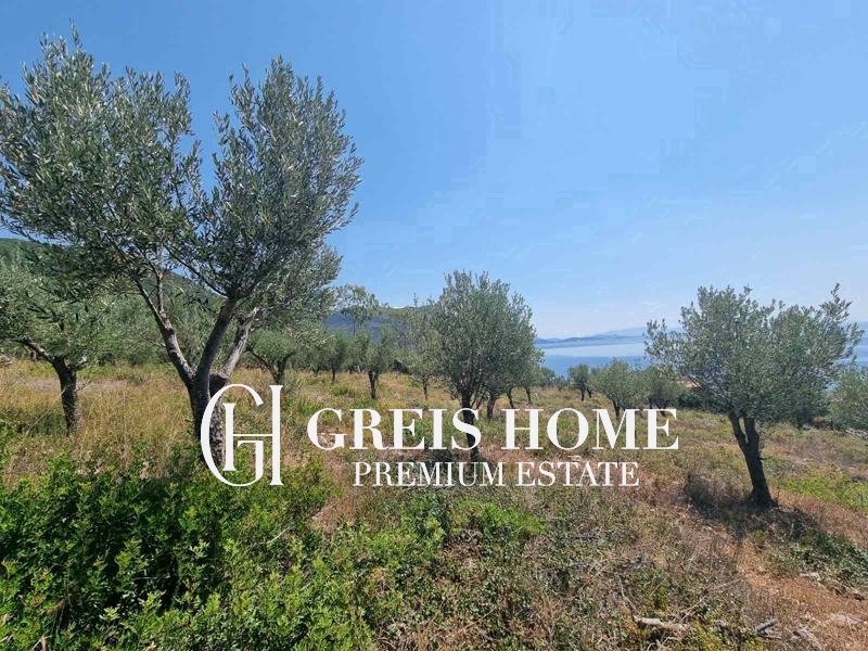 Agios Nikitas – Parcel 20000 sq.m.