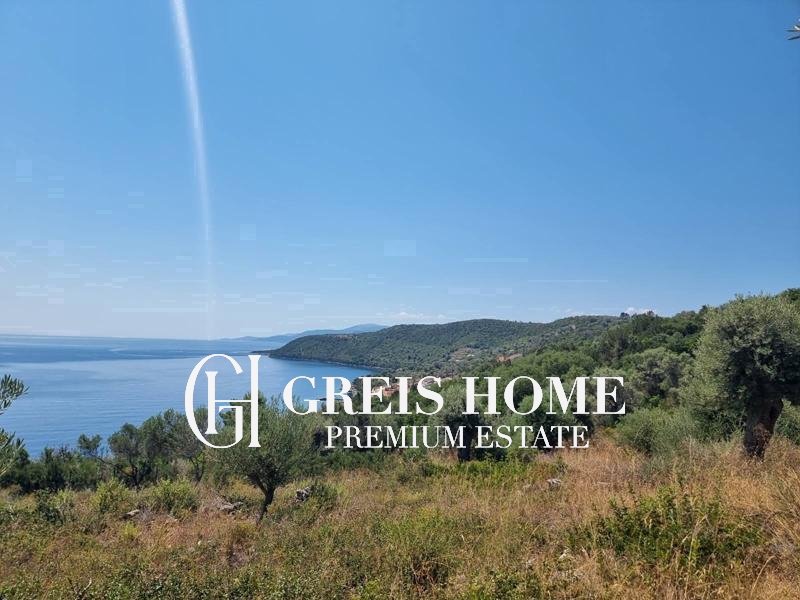 Agios Nikitas – Parcel 20000 sq.m.