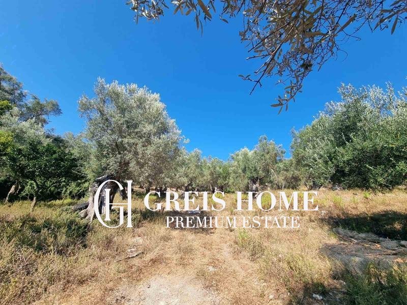 Lefkada - Chora - Plot 4300 sq.m.