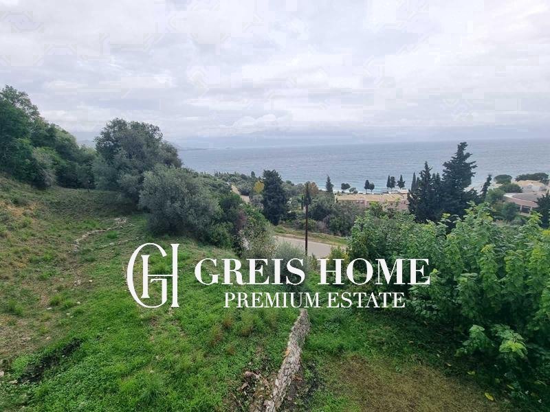 Ellomenos – Parcel 10350 sq.m. – 2 Ellomenos - Parcel 10350 sq.m. - 2