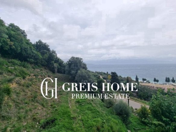 Ellomenos - Parcel 10350 sq.m. - 3