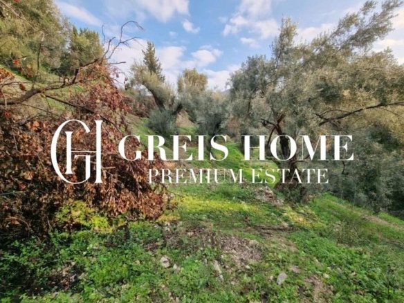 Agios Petros - Parcel 7500 sq.m.