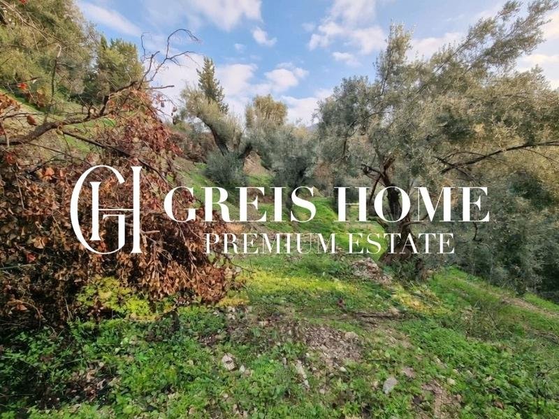 Agios Petros - Parcel 7500 sq.m.