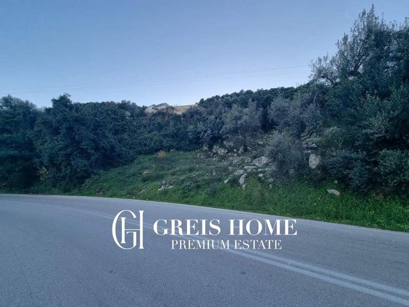 Ellomenos – Plot 2000 sq.m. – 3 Ellomenos - Plot 2000 sq.m. - 3