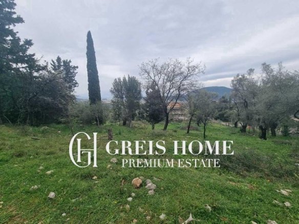 Ellomenos - Parcel 26000 sq.m. - 4