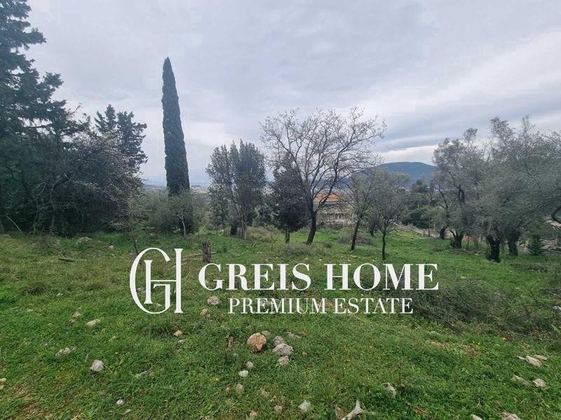 Ellomenos – Parcel 26000 sq.m. – 4 Ellomenos - Parcel 26000 sq.m. - 4