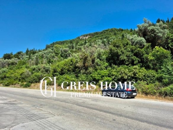 Vasiliki - Parcel 4323 sq.m.