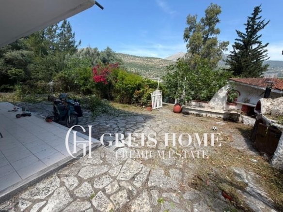 Ellomenos - Detached 200 sq.m. - 10