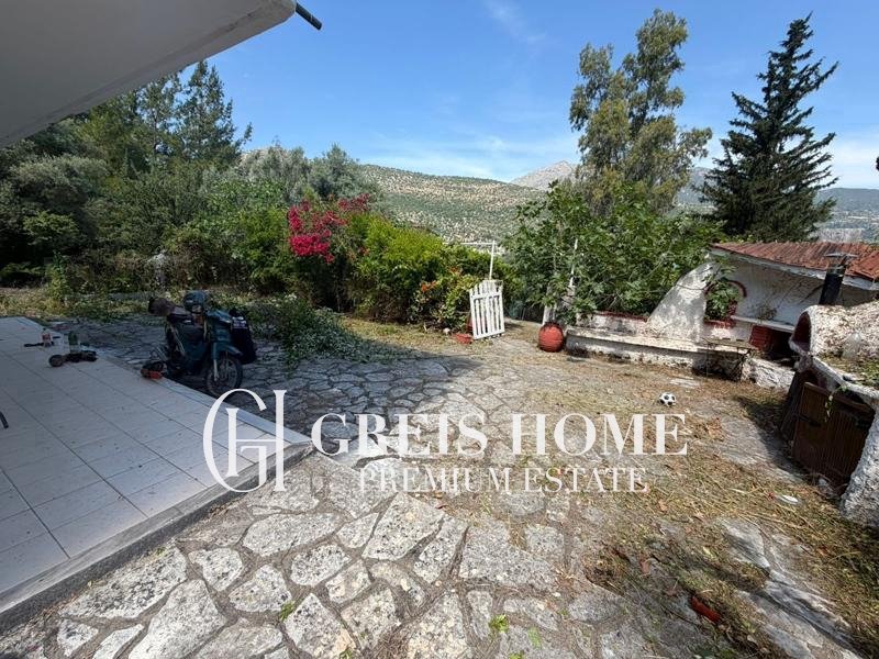 Ellomenos - Detached 200 sq.m. - 10