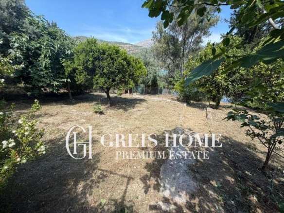 Ellomenos - Detached 200 sq.m. - 8